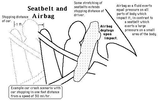 Seatbelt Physics